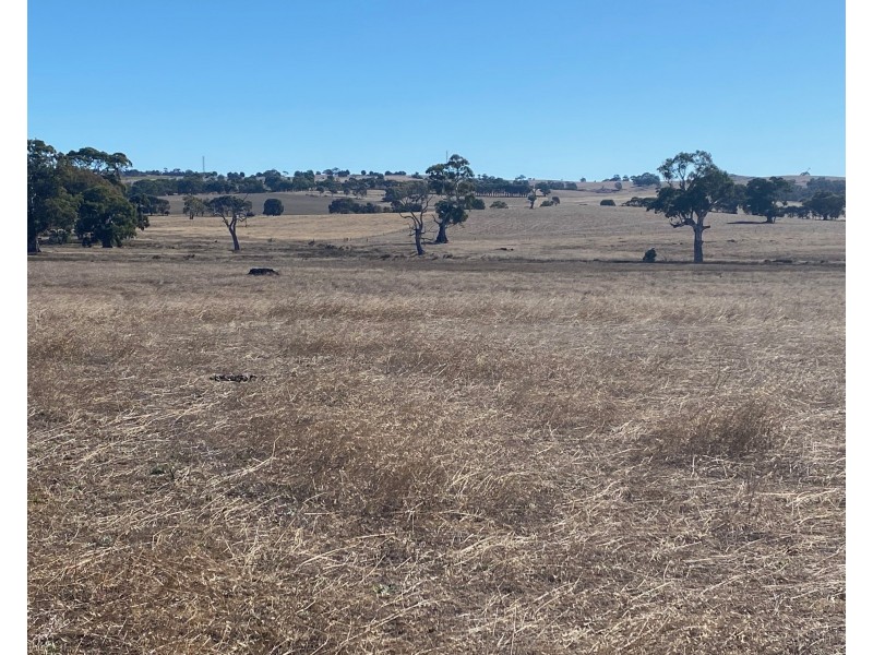 56 Strachans Road, Springton SA 5235