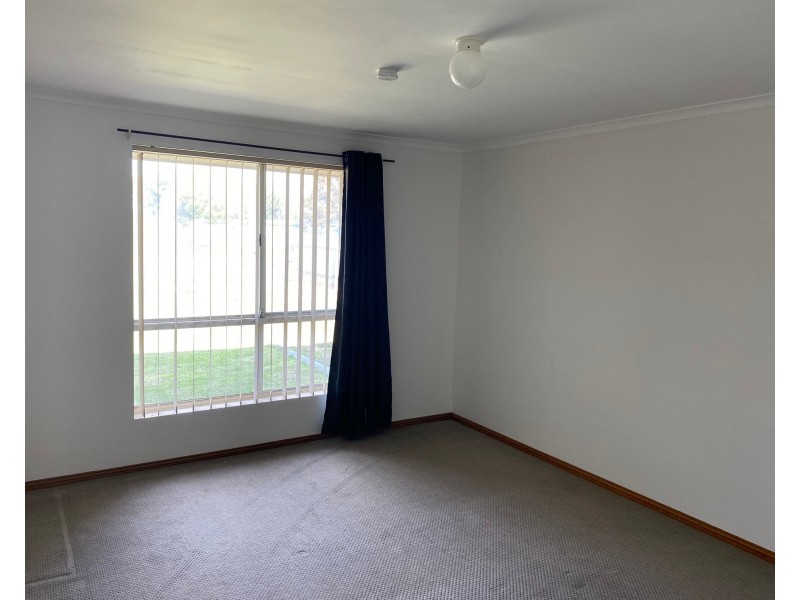 41 Gawler River Road, Willaston SA 5118