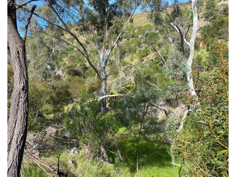 999 Jutland Road, Eden Valley SA 5235