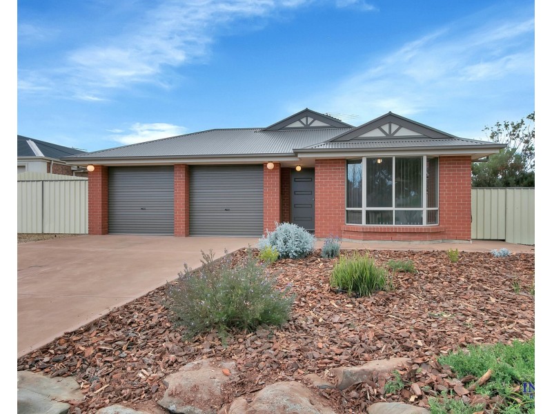 8 Paddlesteamer Way, Mannum SA 5238