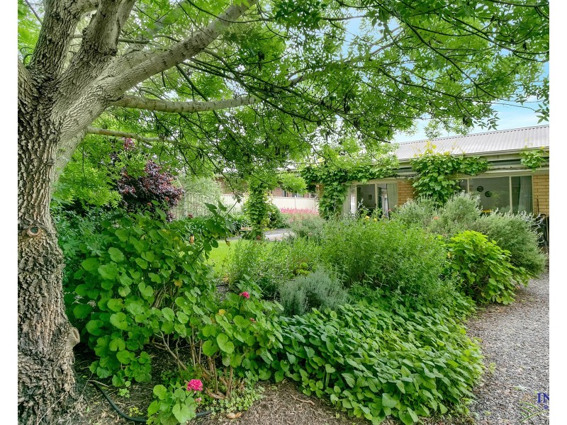 14 Moorpark Street, Nuriootpa SA 5355