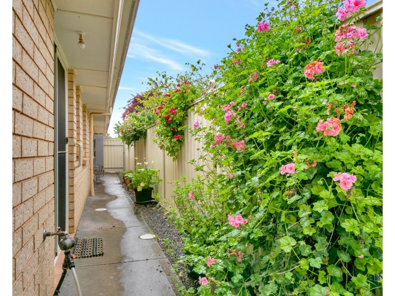 14 Moorpark Street, Nuriootpa SA 5355