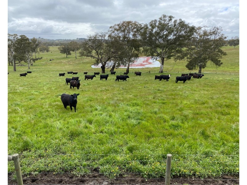 86 Woolshed Road, Mount Torrens SA 5244