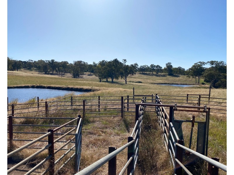 1628 Springton Road, Springton SA 5235