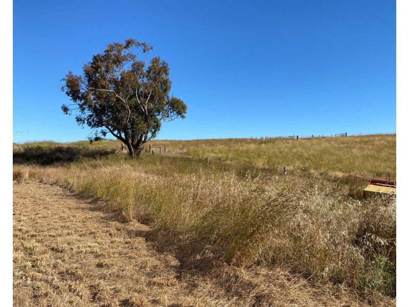 1628 Springton Road, Springton SA 5235