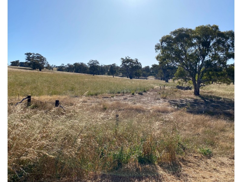 1628 Springton Road, Springton SA 5235