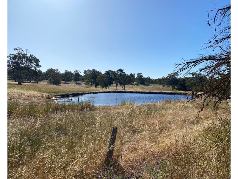 1628 Springton Road, Springton SA 5235