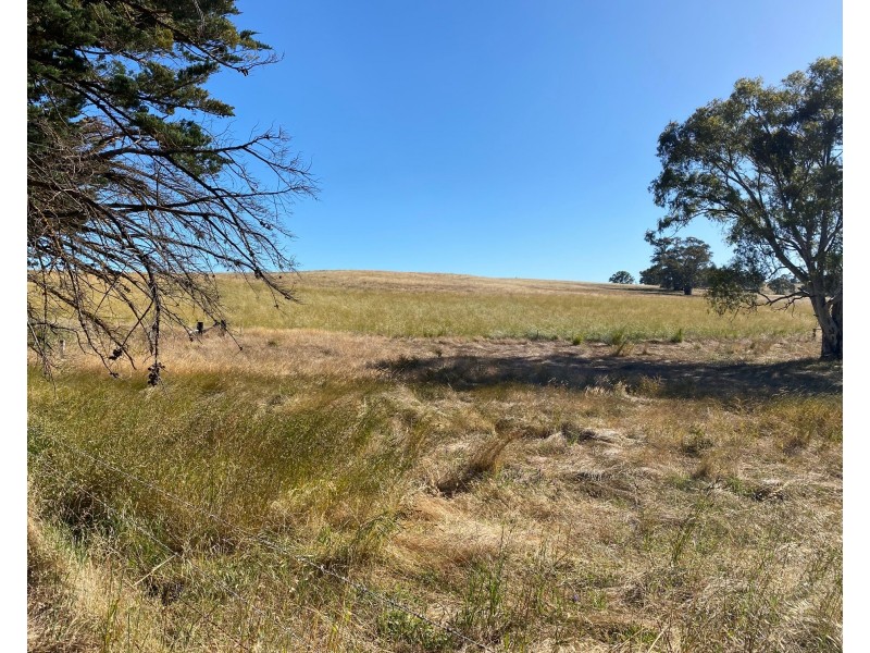 1628 Springton Road, Springton SA 5235