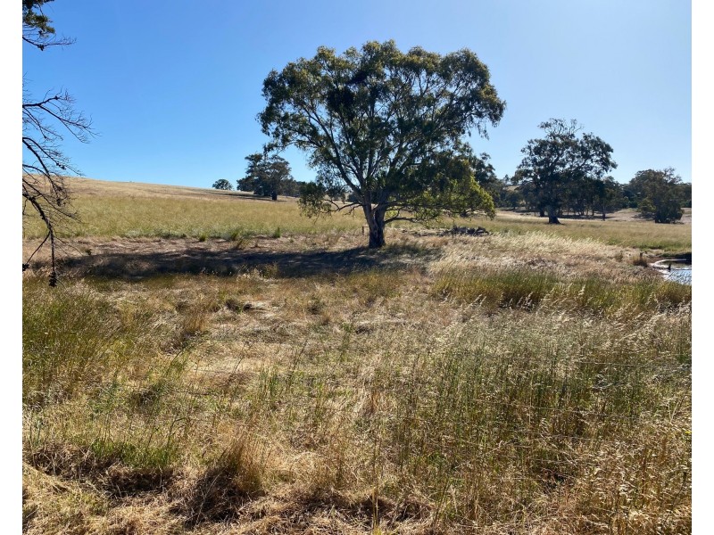 1628 Springton Road, Springton SA 5235