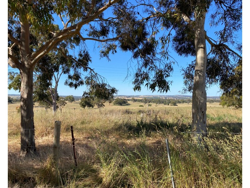 1628 Springton Road, Springton SA 5235