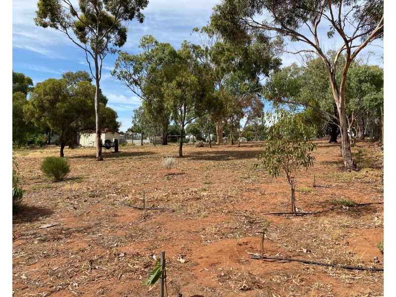 2-4 Adelaide Road, Palmer SA 5237