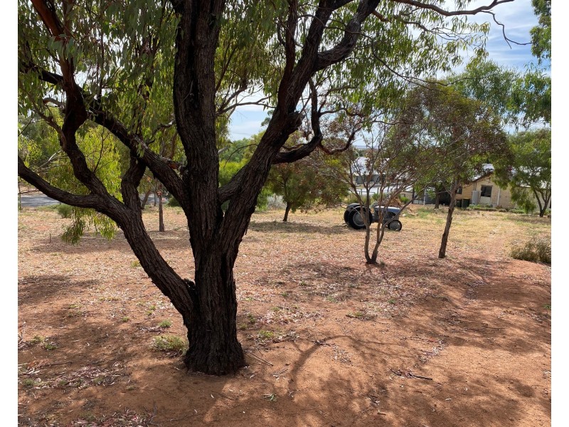 2-4 Adelaide Road, Palmer SA 5237