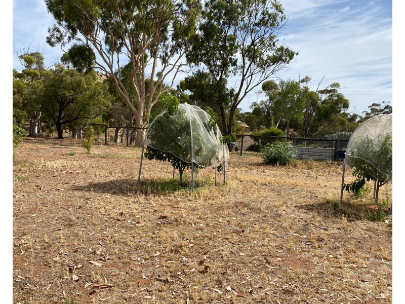 2-4 Adelaide Road, Palmer SA 5237