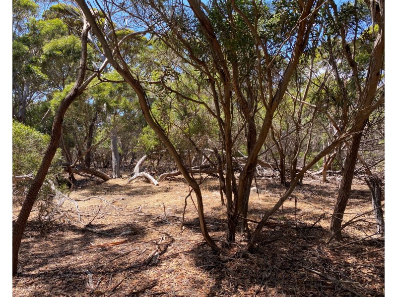 11 Shoals Road, Kingscote SA 5223