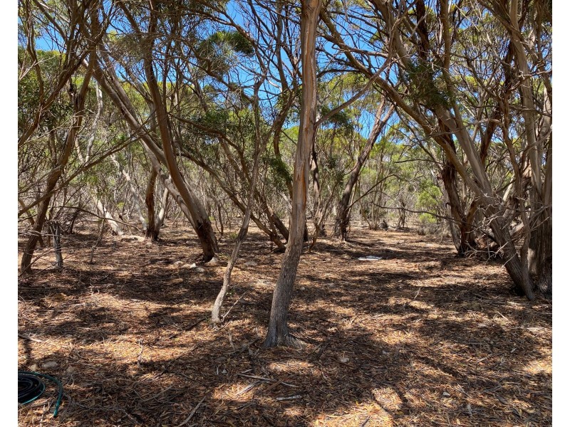 11 Shoals Road, Kingscote SA 5223