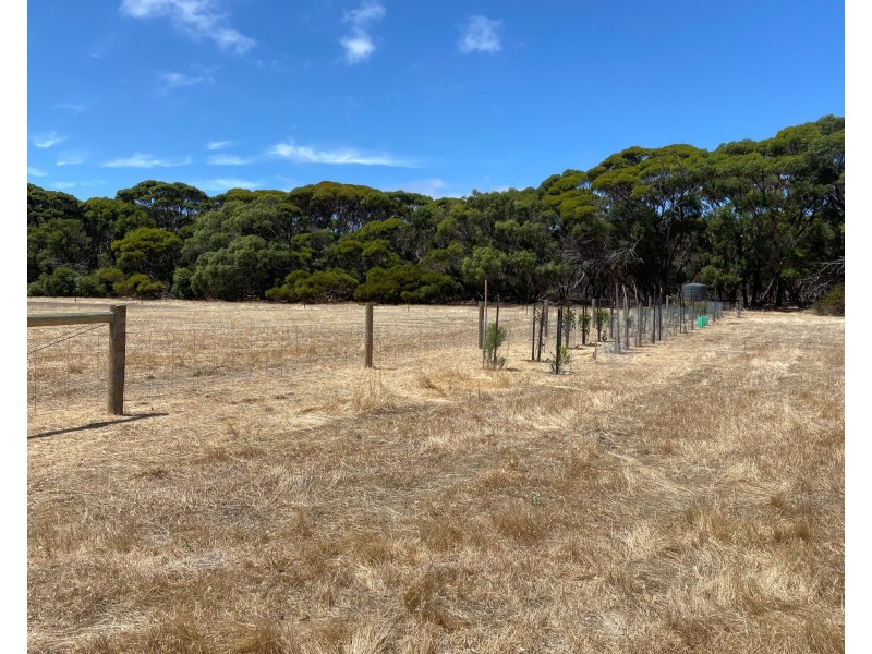 11 Shoals Road, Kingscote SA 5223