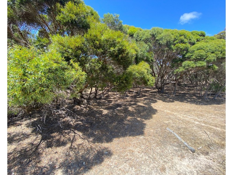 11 Shoals Road, Kingscote SA 5223