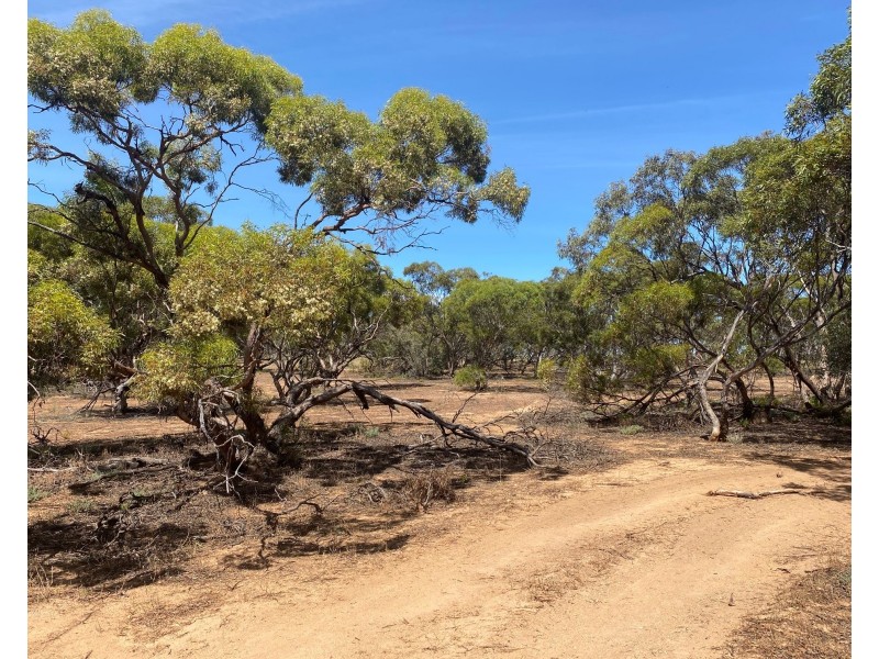 242 Starick Road, Cambrai SA 5353