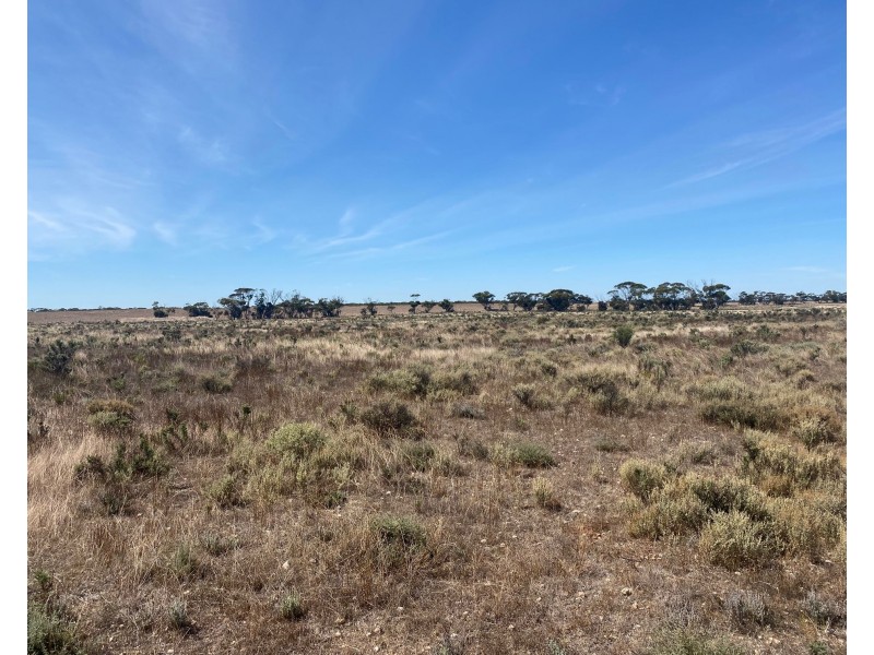 242 Starick Road, Cambrai SA 5353