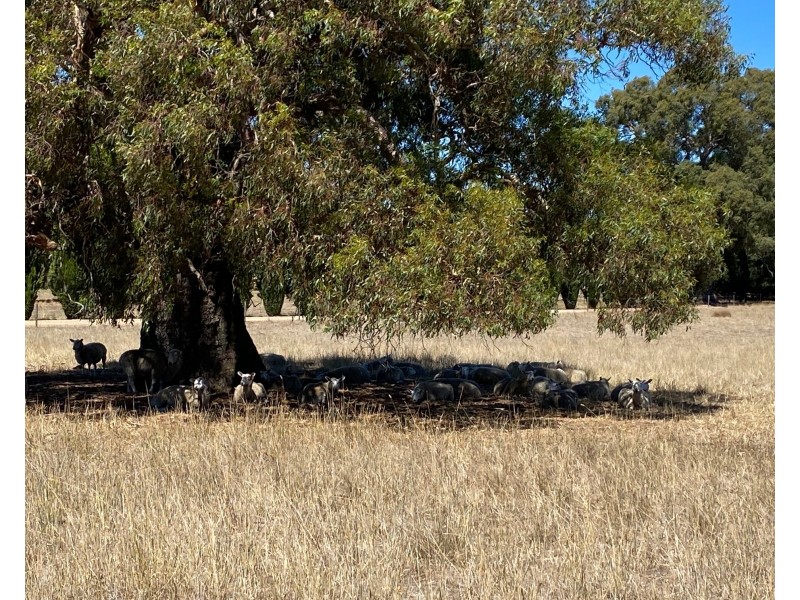 189 Vigars Road, Eden Valley SA 5235