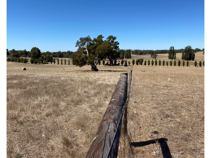 189 Vigars Road, Eden Valley SA 5235