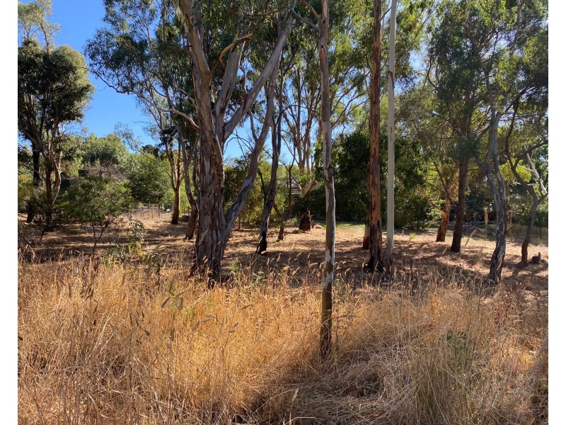 43 Bartschs Road, Eden Valley SA 5235