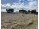 Lot 2 Brinkworth Road, Tungkillo, SA 5236, Tungkillo SA 5236