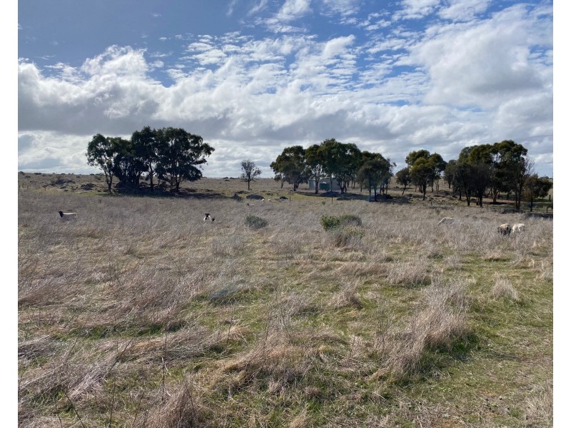 Lot 2 Brinkworth Road, Tungkillo, SA 5236, Tungkillo SA 5236