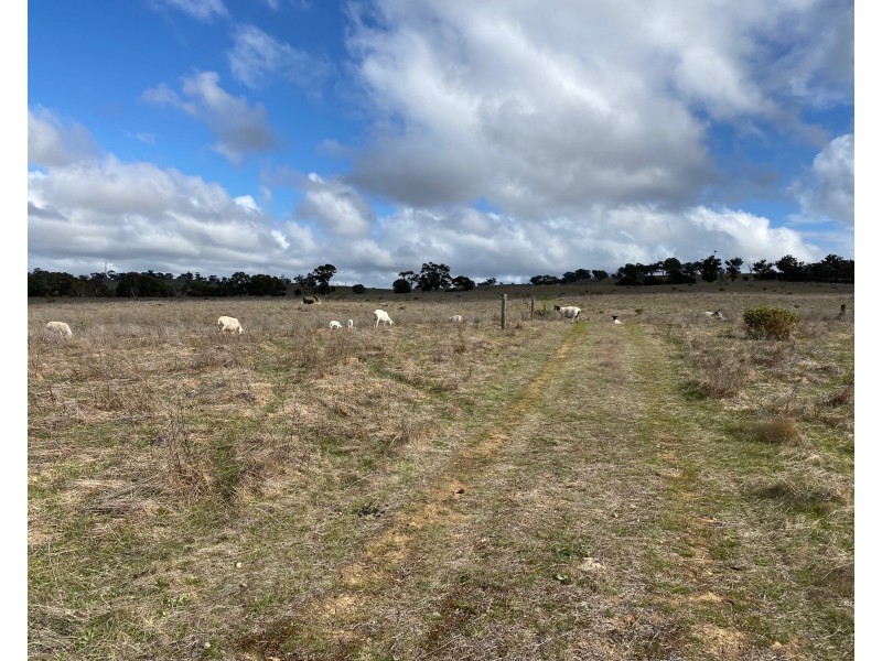 Lot 2 Brinkworth Road, Tungkillo, SA 5236, Tungkillo SA 5236