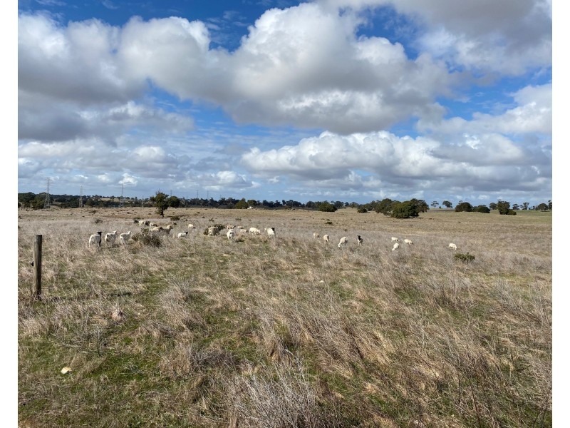 Lot 2 Brinkworth Road, Tungkillo, SA 5236, Tungkillo SA 5236