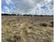 Lot 2 Brinkworth Road, Tungkillo, SA 5236, Tungkillo SA 5236