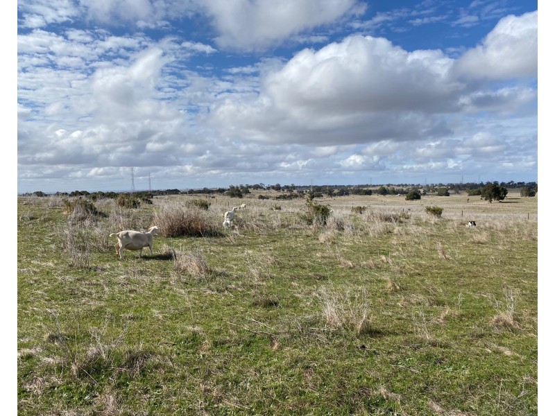 Lot 2 Brinkworth Road, Tungkillo, SA 5236, Tungkillo SA 5236