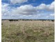 Lot 2 Brinkworth Road, Tungkillo, SA 5236, Tungkillo SA 5236