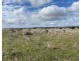 Lot 2 Brinkworth Road, Tungkillo, SA 5236, Tungkillo SA 5236