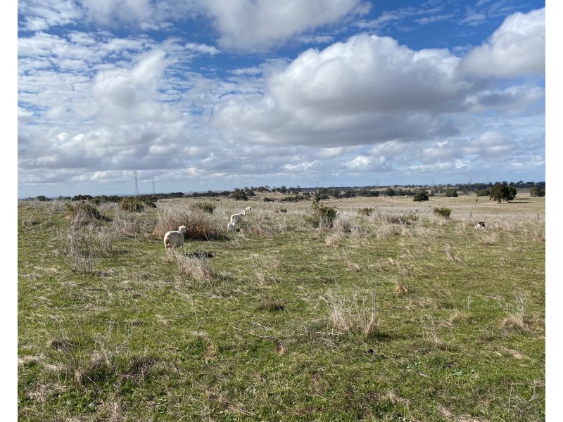 Lot 2 Brinkworth Road, Tungkillo, SA 5236, Tungkillo SA 5236