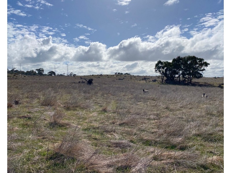 Lot 2 Brinkworth Road, Tungkillo, SA 5236, Tungkillo SA 5236