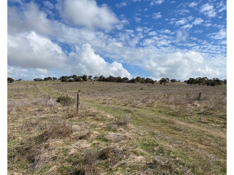 Lot 2 Brinkworth Road, Tungkillo, SA 5236, Tungkillo SA 5236