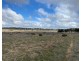 Lot 2 Brinkworth Road, Tungkillo, SA 5236, Tungkillo SA 5236