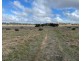 Lot 2 Brinkworth Road, Tungkillo, SA 5236, Tungkillo SA 5236