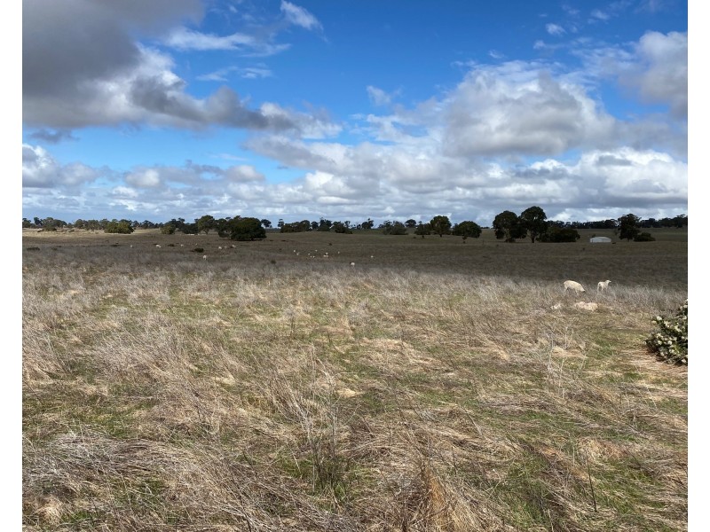 Lot 2 Brinkworth Road, Tungkillo, SA 5236, Tungkillo SA 5236