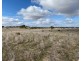 Lot 2 Brinkworth Road, Tungkillo, SA 5236, Tungkillo SA 5236