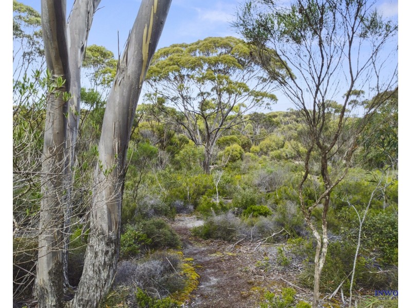 4022 Hog Bay Road, Dudley West SA 5222