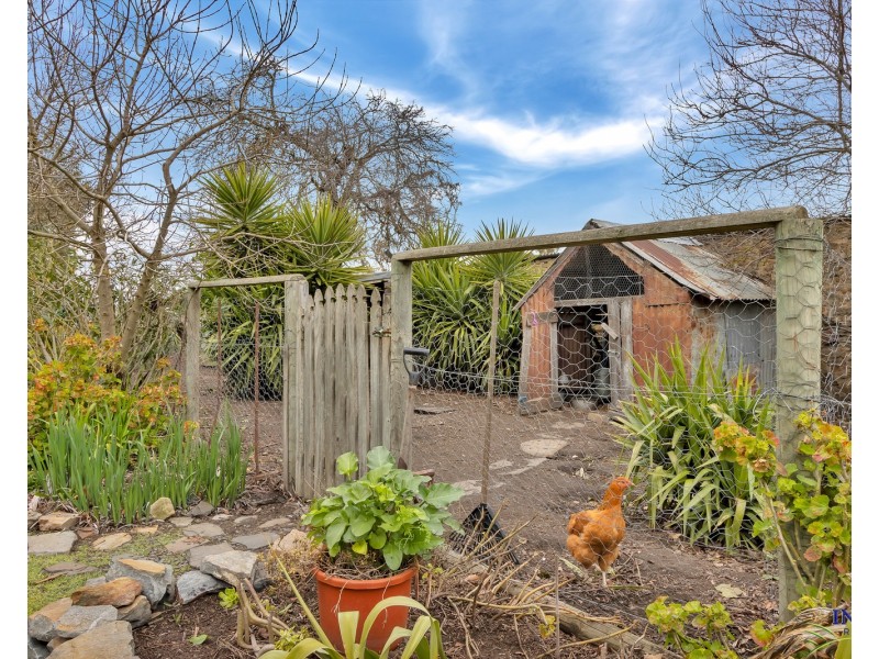 172 Melrose Street, Mount Pleasant SA 5235