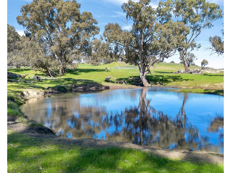 462 EDEN VALLEY ROAD, Flaxman Valley SA 5235