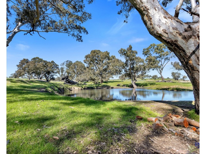 462 EDEN VALLEY ROAD, Flaxman Valley SA 5235