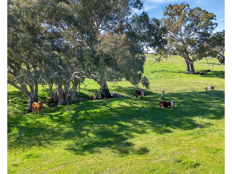 462 EDEN VALLEY ROAD, Flaxman Valley SA 5235