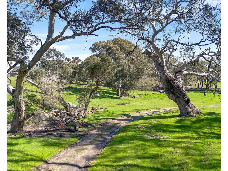 462 EDEN VALLEY ROAD, Flaxman Valley SA 5235