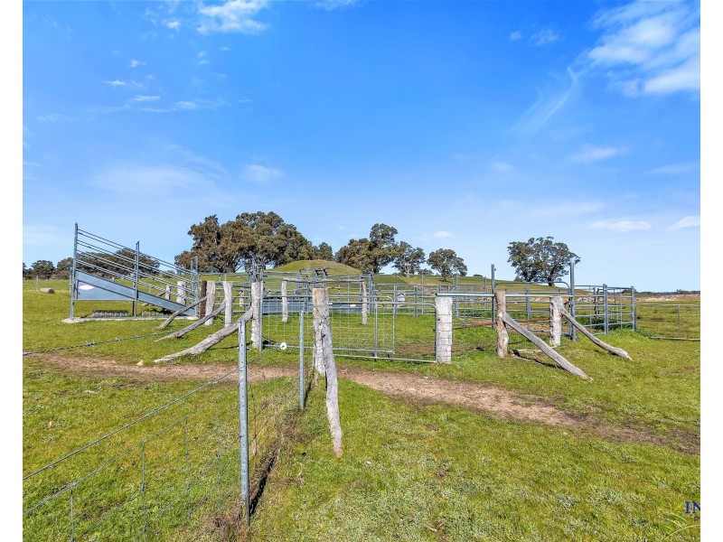 462 EDEN VALLEY ROAD, Flaxman Valley SA 5235