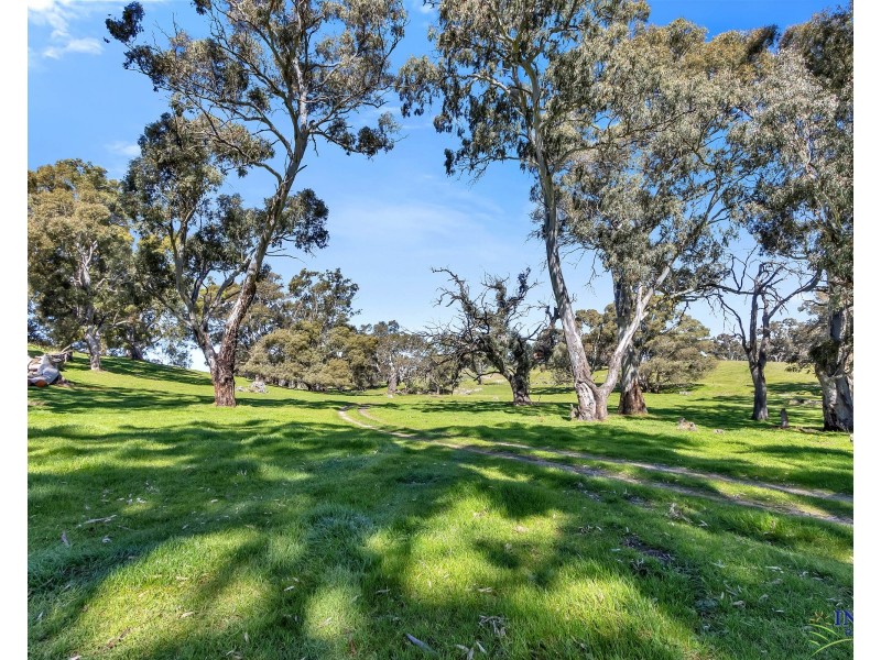462 EDEN VALLEY ROAD, Flaxman Valley SA 5235