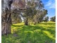 462 EDEN VALLEY ROAD, Flaxman Valley SA 5235